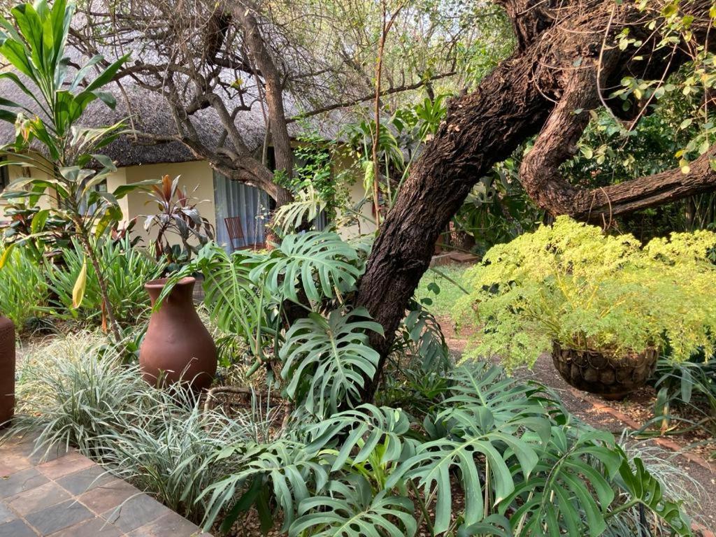 Acasia Guest Lodge Komatipoort Exterior photo